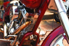 DSC_7977-fixed1
